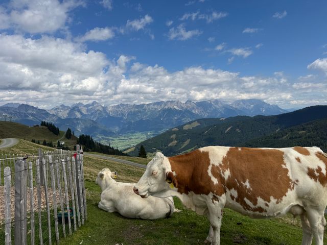 Appartements Leogang