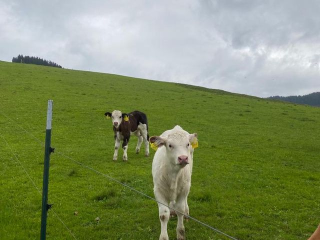 Appartements Leogang