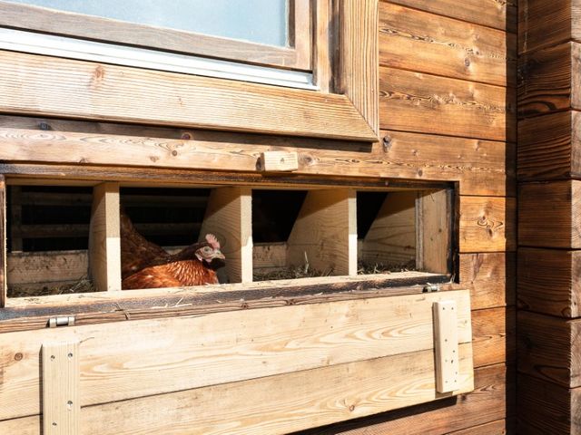 Appartements Leogang