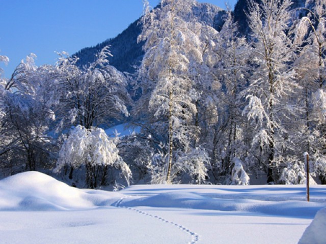 Gasthof Bad Hochmoos