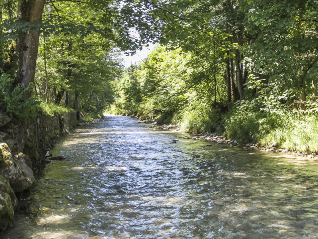 Hotel Gasthof Wachter 