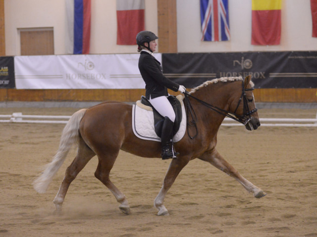 Reitanlage Jodlgut in Salzburg