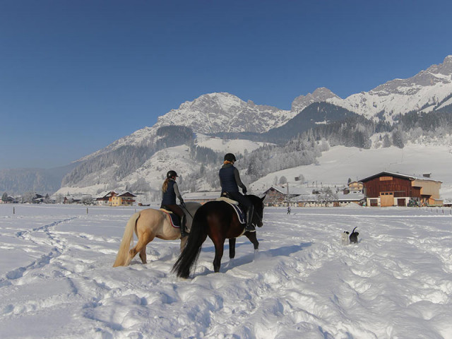 Reitanlage Jodlgut in Salzburg