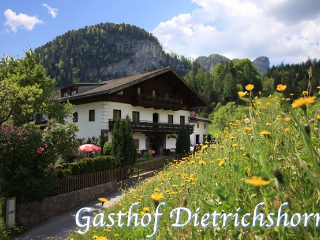 Gasthof Dietrichshorn