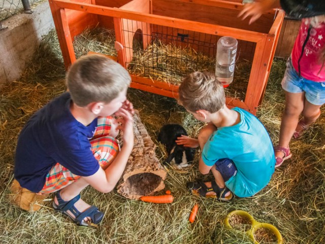 Ferienhof Pfefferbauer