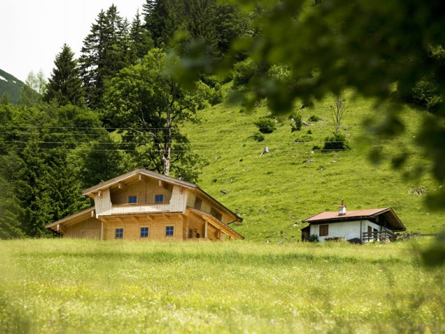 Mörtlkasa