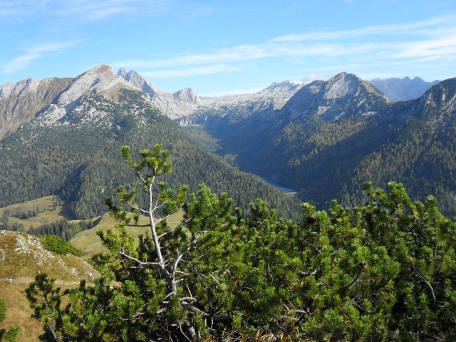 Almhütte Heubadehof