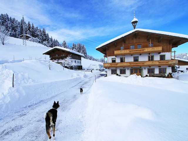 Ferienhaus Niederlehen